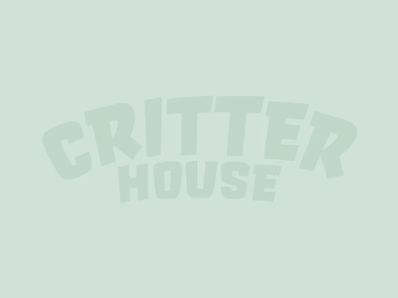CritterHouse Banner